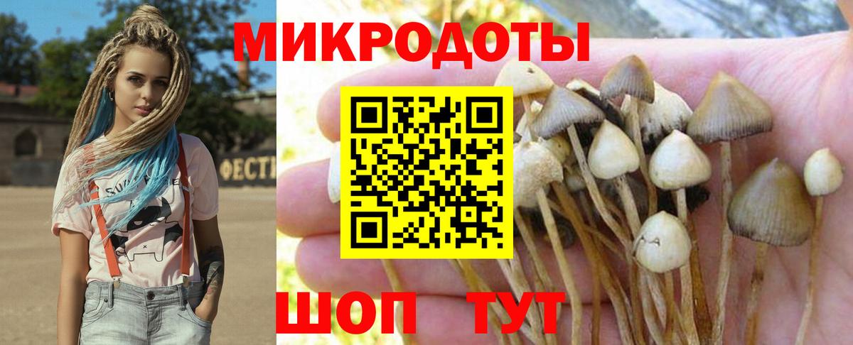 Галлюциногенные грибы MAGIC MUSHROOMS  Вход с VPN  Галлюциногенные грибы прущие грибы  Углич 